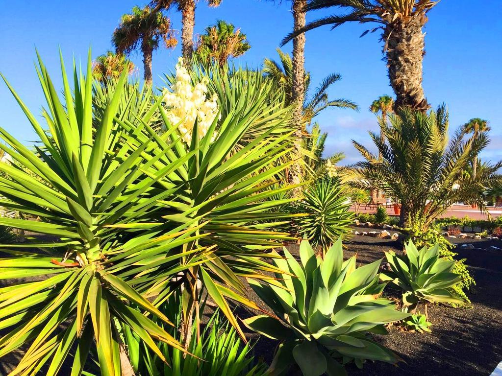 Casita Blanca, Jardin Del Sol 1 Villa ปลายาบลังกา ภายนอก รูปภาพ
